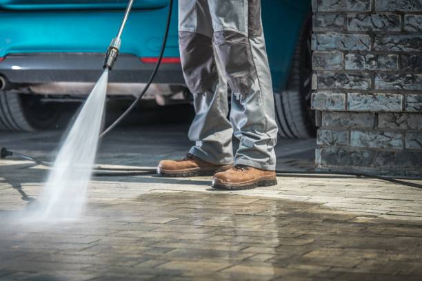 Best Dumpster Area Cleaning  in Oakdale, NY